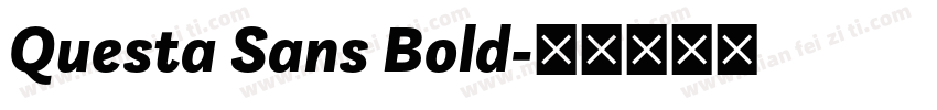 Questa Sans Bold字体转换
